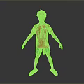 Man wearing red number 7 jersey green shorts yellow socks shoes against gray background