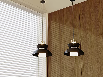 Two Black Pendant Lights Hanging Over Wooden Wall With White Blinds 3d model