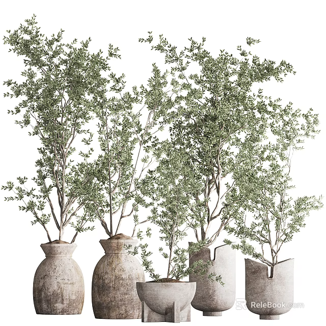 Lush Green Bonsai Potted Plants In Different Shaped Pots With Dense Foliage 3d model 