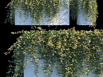 Bonsai Potted Plant With Trailing Green Vines For Indoor Home Decoration 3d model