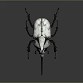 White and Black Beetle with Orange Back Section and Black Horns on Reflective Dark Background