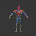 Game And Movie Character 3D Model With Blue Red Suit Spider Web Pattern Standing Pose