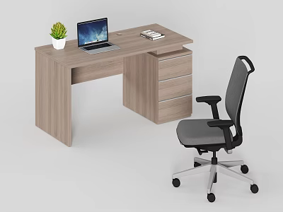 Modern Wooden Office Desk With Laptop Books And Potted Plant And Gray Ergonomic Office Chair 3d model