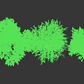 Different Trees Displaying Various Crown Shapes And Lush Foliage In Landscape