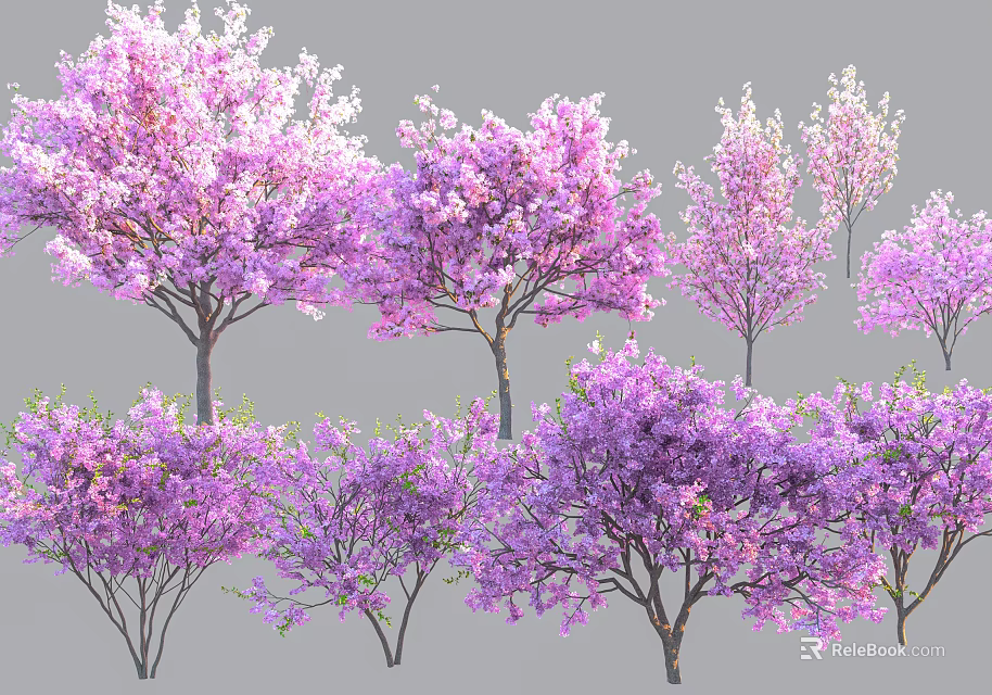Blooming Purple Flowering Trees With Vibrant Lush Blossoms In Garden 3d model 