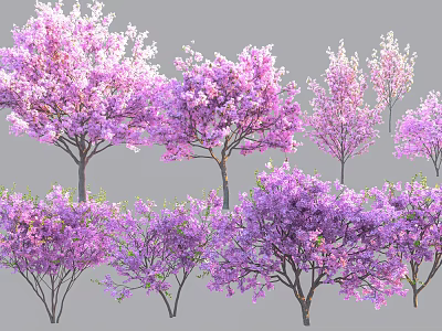 Blooming Purple Flowering Trees With Vibrant Lush Blossoms In Garden 3d model