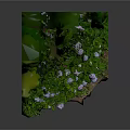 Small Landscape Decorative Plant Display With Green Base Lush Leaves And White Small Flowers