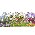 Colorful Garden Flowers And Plants With Various Species And Vibrant Blooms