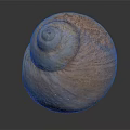 Natural Brown Spiral Snail Shell With Rough Textured Surface And Organic Shape 3d model