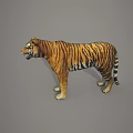 Realistic 3D Model of Reptile Featuring Detailed Scales and Lifelike Standing Posture