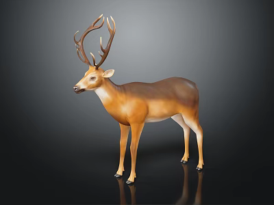 Brown Deer With Large Antlers Standing On Black Background With Reflection 3d model
