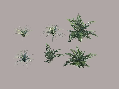 Various Green Shrubs with Different Leaf Shapes for Garden Landscaping 3d model