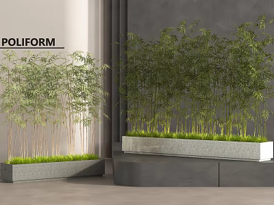 Bamboo Plants In Modern Indoor Space With Planters And Grass 3d model