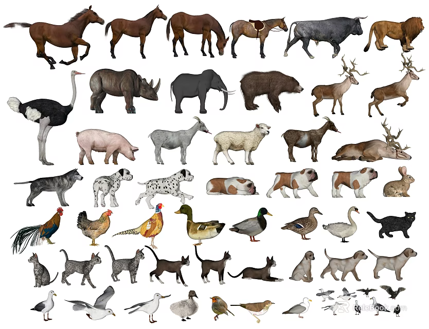 Various Reptile Species Such as Snakes Lizards and Turtles in Wildlife Collection 3d model 