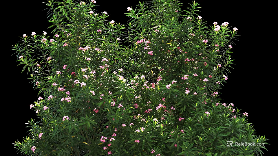 Vibrant Green Leafy Shrub with Pink and White Small Flowers Blooming 3d model 
