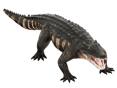 Realistic Crocodile Reptile With Open Mouth And Black Scaly Skin Texture 3d model