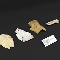 Antique Carved Bone Fragment Decorative Ornament Set Featuring Intricate Textured Surfaces