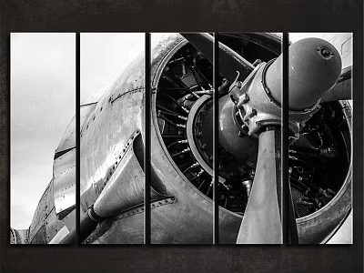 Black and White Airplane Engine Split Frame Wall Art Decor with Propeller Details 3d model