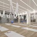 Modern Yoga Studio With Mats Aerial Hammocks And Exercise Balls