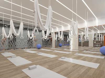 Modern Yoga Studio With Mats Aerial Hammocks And Exercise Balls 3d model