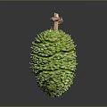 Fresh Green Scaly Exotic Fruit With Brown Top And Textured Surface