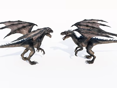Two Mythical Dragons With Spread Wings Facing Each Other In Stance 3d model