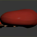 Detailed 3D Rendered Human Kidney Anatomy Model Showing Internal Structures