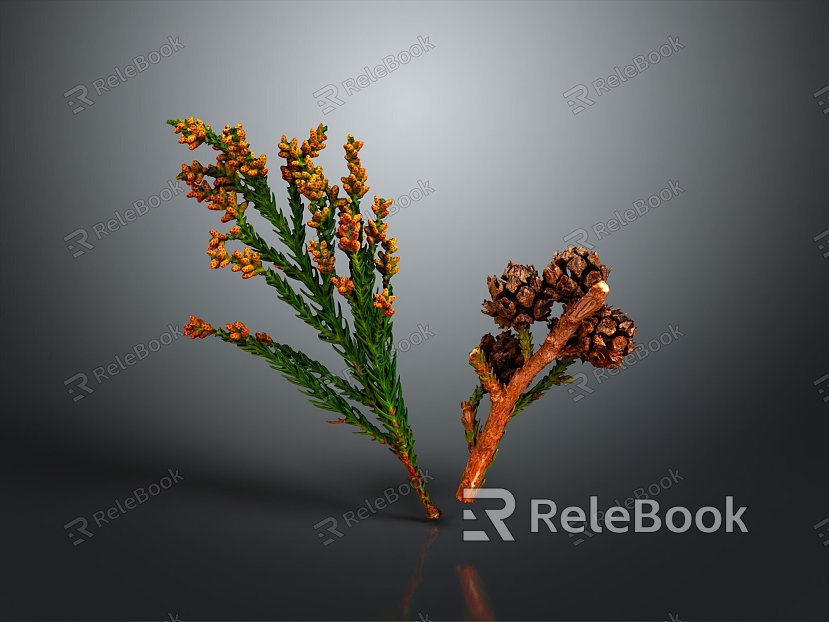 pine cone plant model