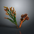 Natural Home Decor Branch with Green Leaves and Brown Pine Cones on Gray Background