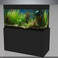 Colorful Tropical Fish Swimming in Glass Fish Tank with Green Aquatic Plants