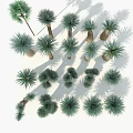 Various Trees With Green Foliage Different Trunk Shapes and Shadows 3d model
