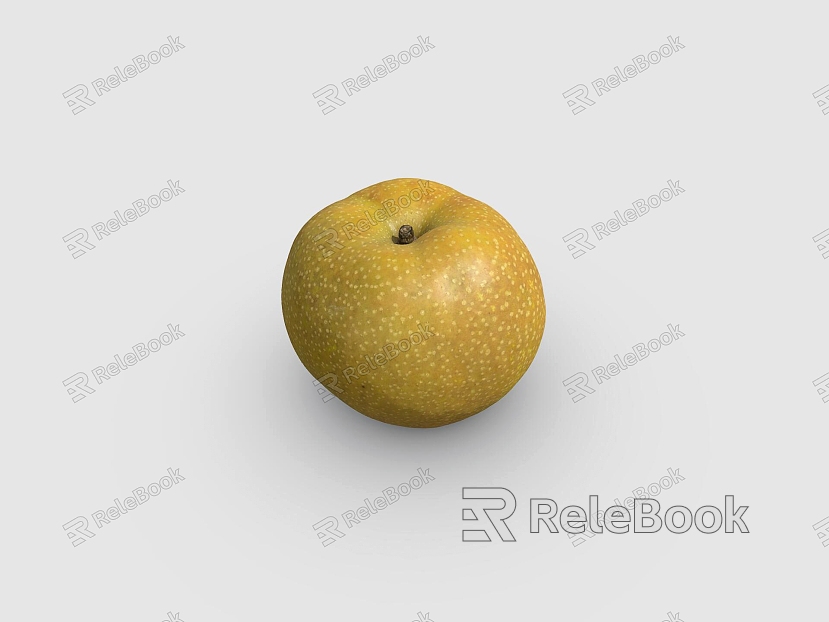 fruit pear model