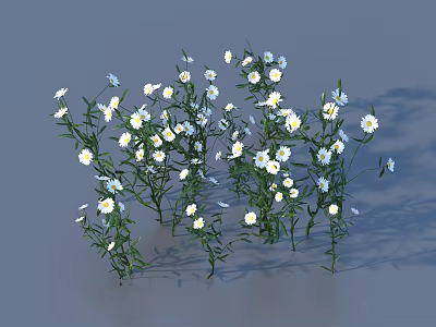 White Small Flowers With Green Stems And Leaves In Natural Clusters On Gray Background 3d model