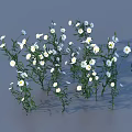 White Small Flowers With Green Stems And Leaves In Natural Clusters On Gray Background