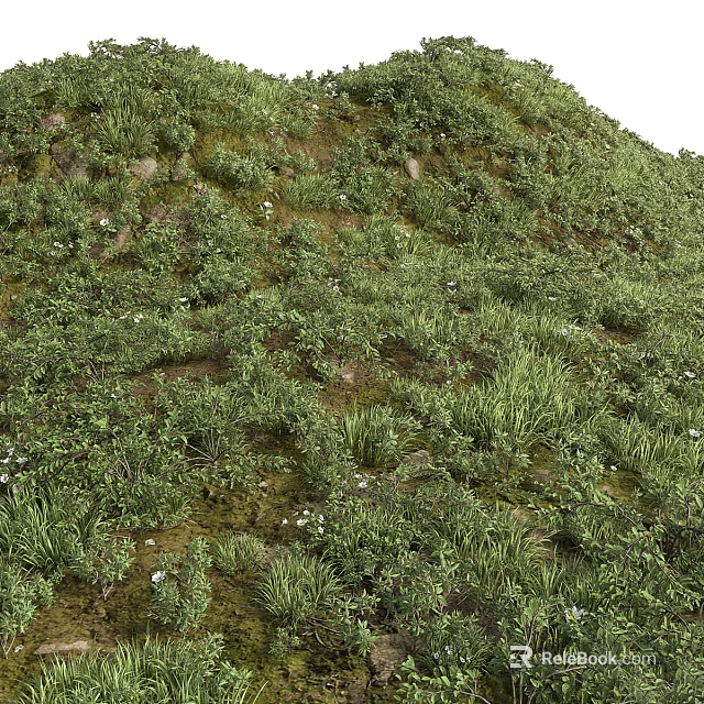 Lush Green Plants and Small White Flowers on Sloped Moss Covered Grassland 3d model 