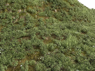Lush Green Plants and Small White Flowers on Sloped Moss Covered Grassland 3d model