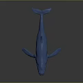 Detailed Blue Whale 3D Model Rendering with Smooth Surface on Gray Background