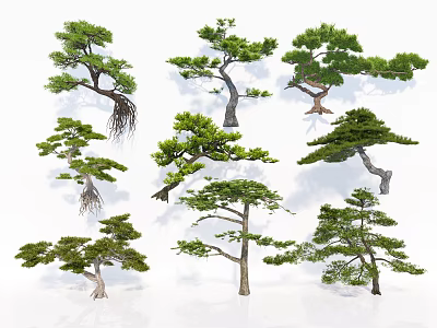 Various Shaped Garden Trees With Natural Green Foliage And Unique Trunks 3d model