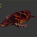 Turtle Cartoon Turtle Snapping Turtle Chickbill Turtle Reptile Cold Blooded Animal Reptile Class 3d model