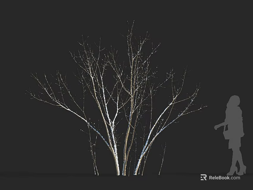Leafless Arbor With White Trunks Standing In Dark Background Near Silhouette Figure 3d model 