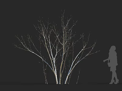 Leafless Arbor With White Trunks Standing In Dark Background Near Silhouette Figure 3d model