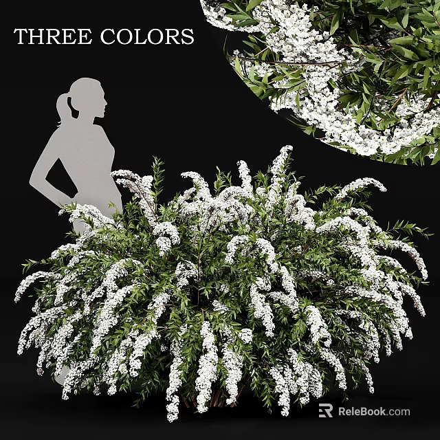 Decorative Ornament Arrangement Featuring Green Plants and White Flowers for Home Interior Decor 3d model 