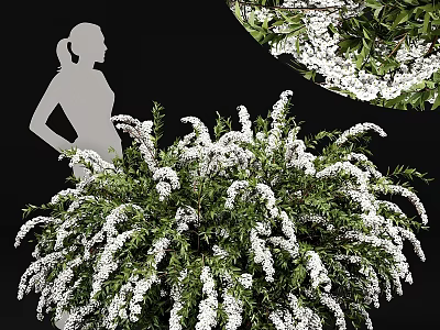 Decorative Ornament Arrangement Featuring Green Plants and White Flowers for Home Interior Decor 3d model