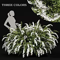 Decorative Ornament Arrangement Featuring Green Plants and White Flowers for Home Interior Decor