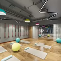 Modern Indoor Fitness Studio With Yoga Mats Fitness Balls And Suspension Straps