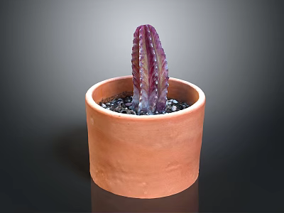 Decorative Terracotta Pot With Purple Cactus And Small Black Stones For Home Decor 3d model