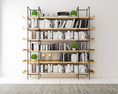 Modern Minimalist Bookshelf Interior Design With Black Metal Frame Wooden Shelves Books And Green Plants 3d model