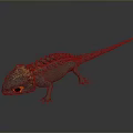 Detailed Gray Spiky Lizard With Yellow Head Orange Eyes And Reflection On Gray Background