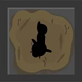 Cute White Animal With Antlers And Fox Like Tail Standing On Dry Cracked Ground