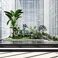 Modern Garden Ornaments Design With Lush Green Plants And Decorative Stones